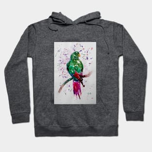 Colourful Parrot watercolour painting Hoodie